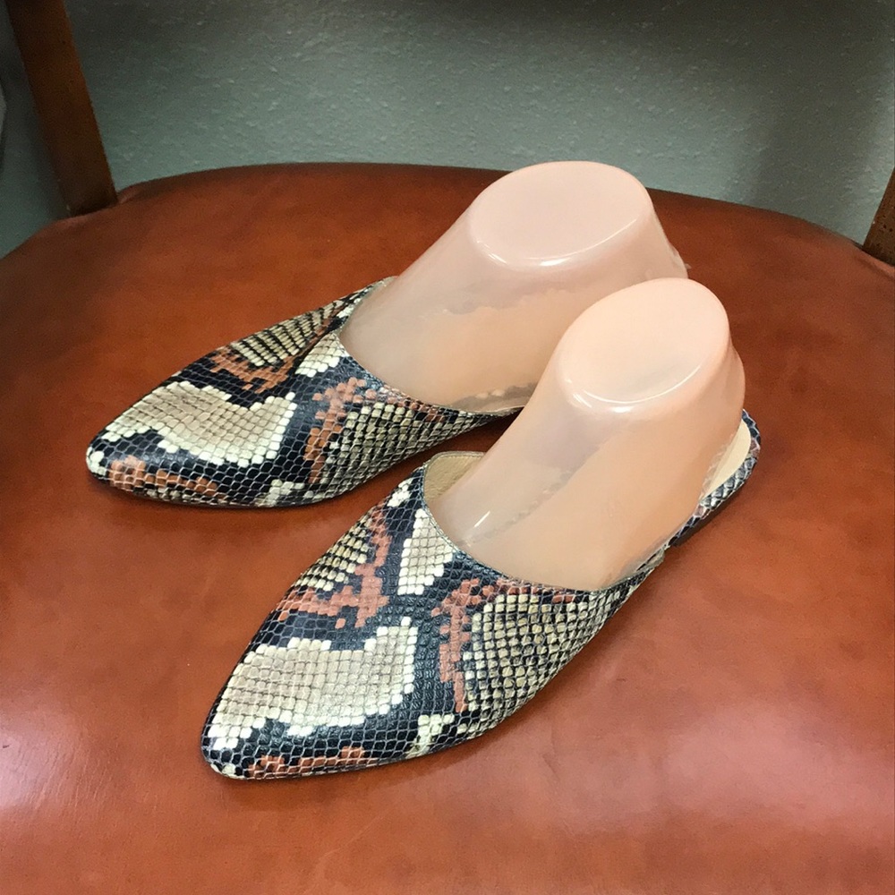 Madewell leather pointed flats